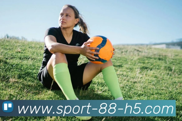 App Interface Preview